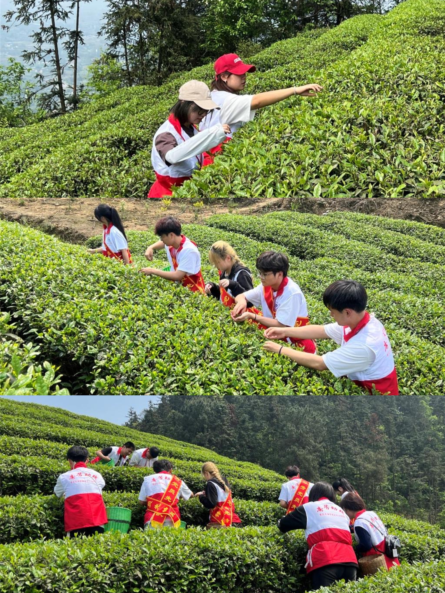 obKx_1713426115915015062.jpg QQ图片20240418154139.jpg